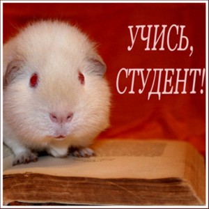 1 курс